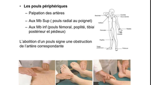 Apprentissage de la sémiologie 8