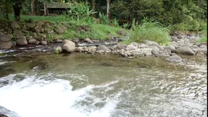 PAROLES DE CHERCHEURS - Episode 5 : Omeya DESMAZES