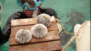 PAROLES DE CHERCHEURS - Episode 3 : Coralie BORELVA