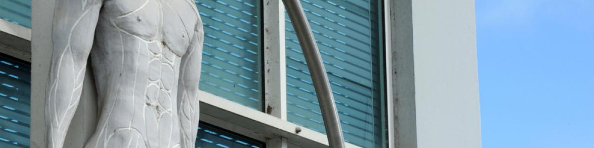 Bannière UA MED - Faculté des Sciences Médicales